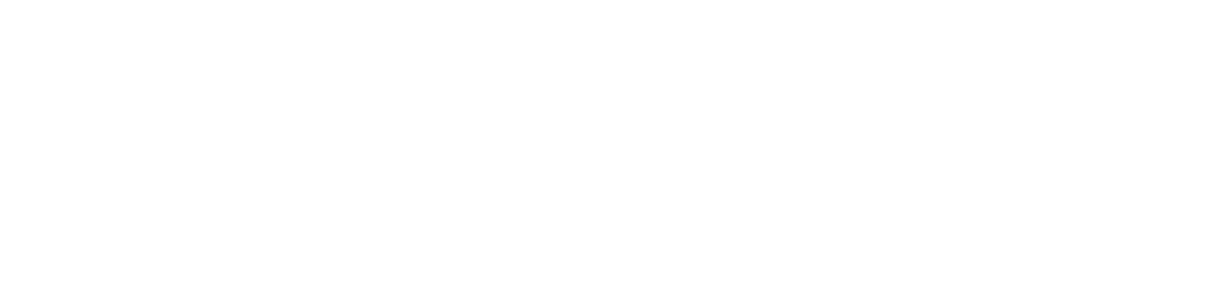 NUVIXEL STUDIO